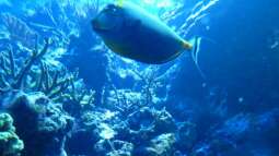 Kölner Zoo / Aquarium