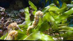 Kölner Zoo / Aquarium