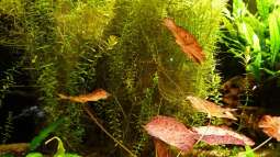 Kölner Zoo / Aquarium