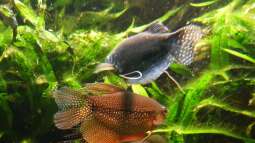 Kölner Zoo / Aquarium