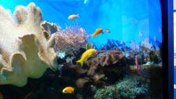 Kölner Zoo / Aquarium