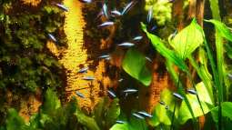 Kölner Zoo / Aquarium