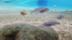 Kölner Zoo / Aquarium