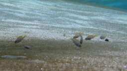 Kölner Zoo / Aquarium