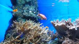 Kölner Zoo / Aquarium