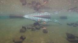 Kölner Zoo / Aquarium