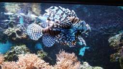 Kölner Zoo / Aquarium