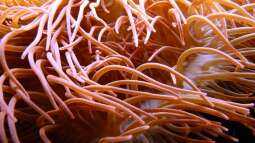 Kölner Zoo / Aquarium