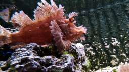 Kölner Zoo / Aquarium