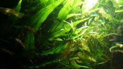 Kölner Zoo / Aquarium