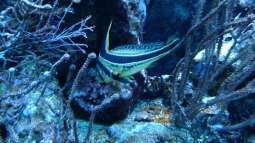 Kölner Zoo / Aquarium