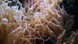 Kölner Zoo / Aquarium