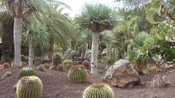 Fuerteventura für Aquarianer und Naturfreunde