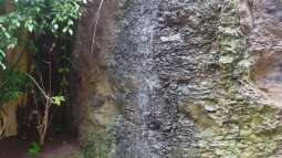 Fuerteventura für Aquarianer und Naturfreunde