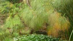 Fuerteventura für Aquarianer und Naturfreunde