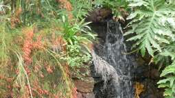 Fuerteventura für Aquarianer und Naturfreunde