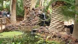 Fuerteventura für Aquarianer und Naturfreunde