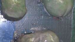 Bau Rückwand und Steine