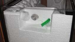 Bau Rückwand und Steine