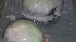 Bau Rückwand und Steine