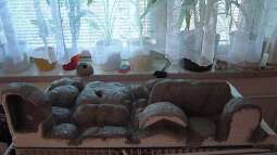 Bau Rückwand und Steine