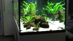 Meine LED-Beleuchtung - stromsparend, leistungsstark, naturnah, bezahlbar