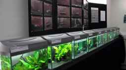 Bericht und Bilder vom Aquaristikevent für das Programm am 16.04.2011 in Berlin