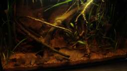 farbenfrohe Herbstzeit