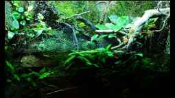 Das RIO 125 der Firma Juwel,ein  Alleskönner !