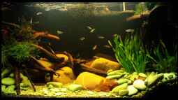 Das RIO 125 der Firma Juwel,ein  Alleskönner !