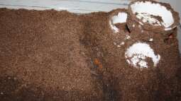 Der Grundstein ist gelegt