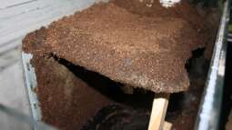 Der Grundstein ist gelegt