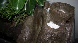 Der Grundstein ist gelegt