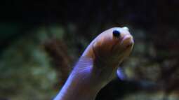 Einrichtungsbeispiele.de und Malawi-Guru.de, treffen in Frankfurt am Main