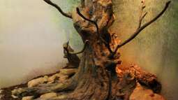 Einrichtungsbeispiele.de und Malawi-Guru.de, treffen in Frankfurt am Main