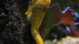 Einrichtungsbeispiele.de und Malawi-Guru.de, treffen in Frankfurt am Main