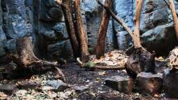 Einrichtungsbeispiele.de und Malawi-Guru.de, treffen in Frankfurt am Main