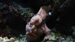 Einrichtungsbeispiele.de und Malawi-Guru.de, treffen in Frankfurt am Main