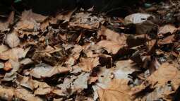 Einrichtungsbeispiele.de und Malawi-Guru.de, treffen in Frankfurt am Main