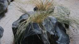 Einrichtungsbeispiele.de und Malawi-Guru.de, treffen in Frankfurt am Main