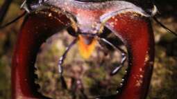 Einrichtungsbeispiele.de und Malawi-Guru.de, treffen in Frankfurt am Main