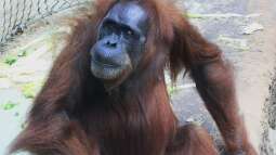 Einrichtungsbeispiele.de und Malawi-Guru.de, treffen in Frankfurt am Main