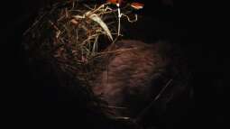 Einrichtungsbeispiele.de und Malawi-Guru.de, treffen in Frankfurt am Main