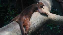 Einrichtungsbeispiele.de und Malawi-Guru.de, treffen in Frankfurt am Main