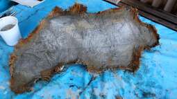 Cruiser Brunos Malawi-Projekt -3- Bau der Rückwände und Riffplatten