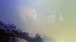 Cruiser Brunos Malawi-Projekt -5- Inbetriebnahme des Beckens