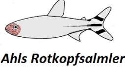 Drei Arten ein aussehen?!?