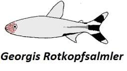 Drei Arten ein aussehen?!?