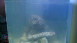 Nano Riff Tagebuch erste Woche