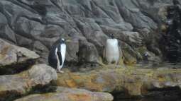 Mich@ on Tour: Ein Besuch im Düsseldorfer Aquazoo Löbbecke Museum